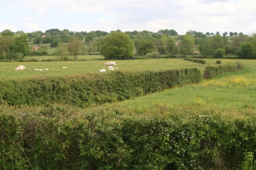Le très bon chiffre de 3,4 hectares de biodiversité entretenus sur l’exploitation est d’abord lié à l’importance des haies et des prés situés en bordu