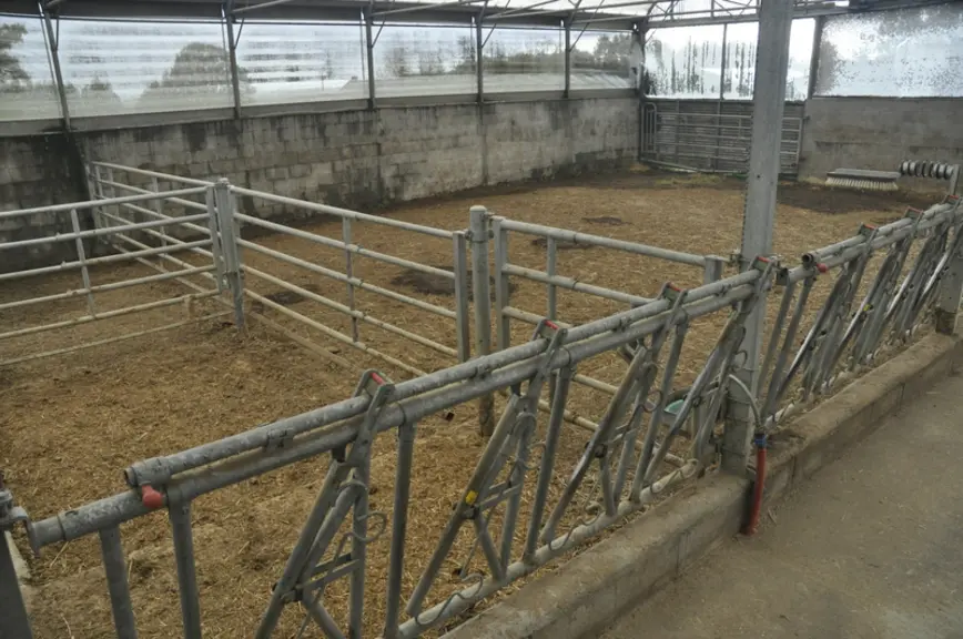 La stabulation est organisée en croix avec quatre parcs de 20 vaches et, pour chacun, un parc à veaux et une case de vêlage.Au centre, une caméra sur