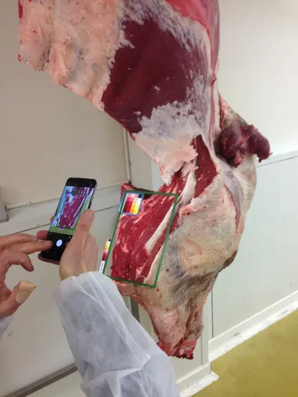 La photo du muscle doit être prise de près avec un smartphone et doit être de bonne qualité.  © F d'Alteroche