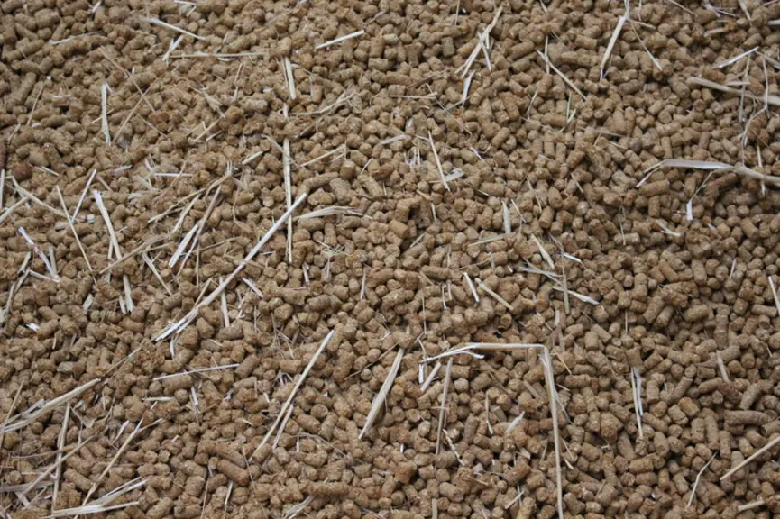 Ce corn gluten feed déshydraté coproduit d'amidonnerie, contient 14 % de MAT. Il est plus équilibré et donc plus facile à travailler que des drêches d