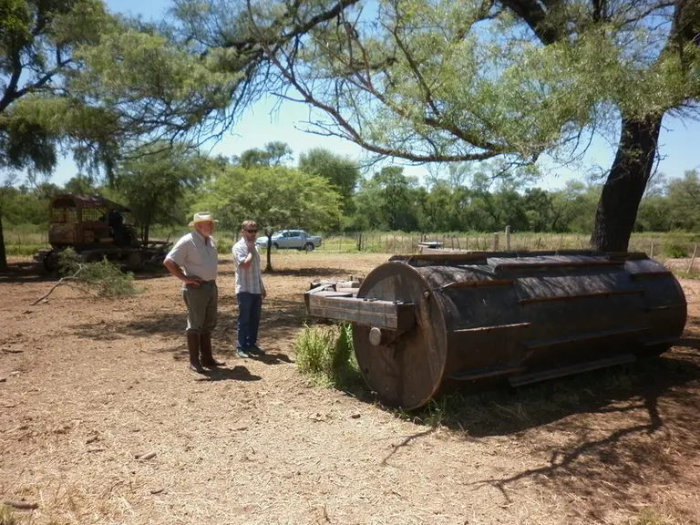 Nicolas Brunner produit du maigre sur des prairies implantées à base de Gatton panic, une herbe importée d’Afrique dans des bois qu’ils défrichent tou