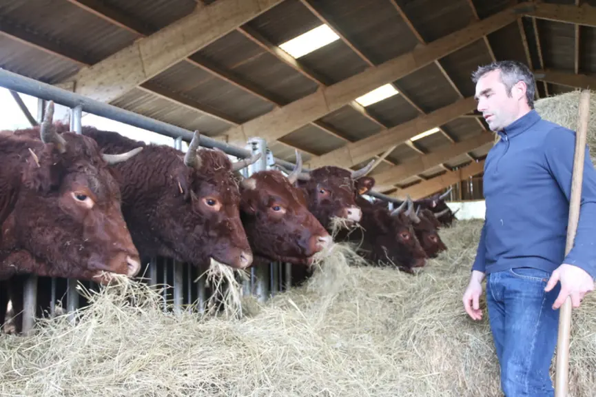 Antonin Régnier. « Le système tout herbe correspond très bien à mes terres à faible potentiel agronomique. » © C. Delisle