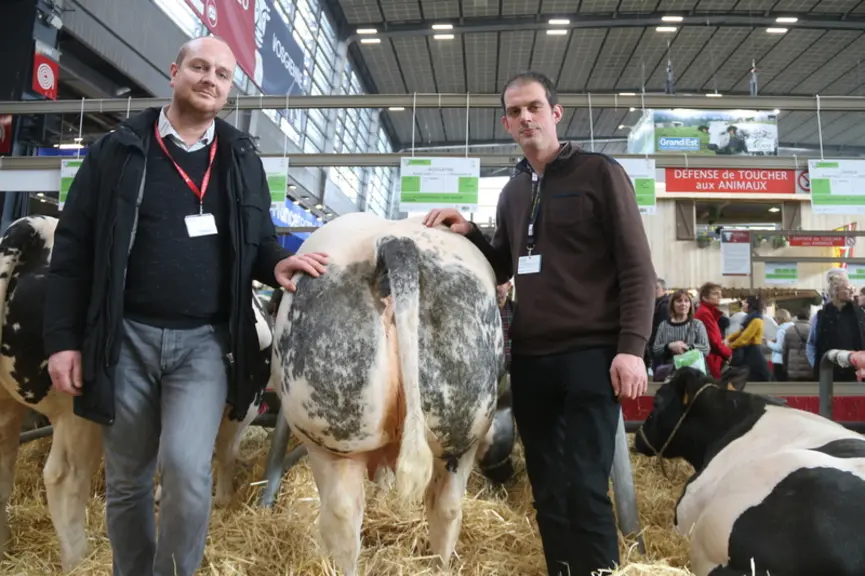 Jonathan Lorieux (à gauche), chef boucher Auchan Valenciennes et Sébastien Désert, président de la race Blanc Bleu. © c. Delisle