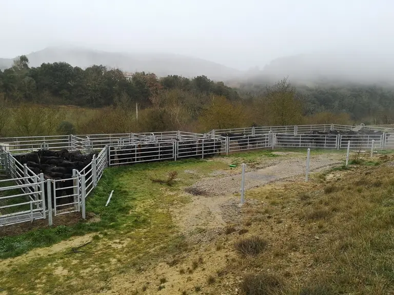 Tous les champs ont un accès quasi direct au parc de contention. © Ferme de Fajac