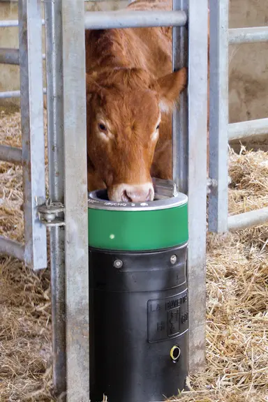 Abreuvoir inox antigel électrique à niveau constant, à poser sur buse. © La Buvette