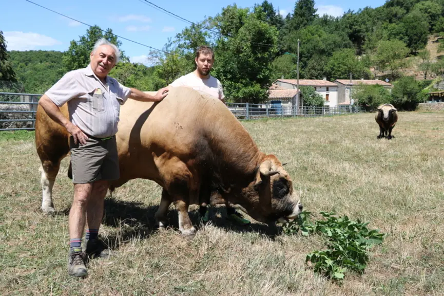 Claude et Romain Planel. L’élevage détient actuellement cinq taureaux Aubrac et un Charolais auxquels s’ajoute un sixième Aubrac acheté en copropriété