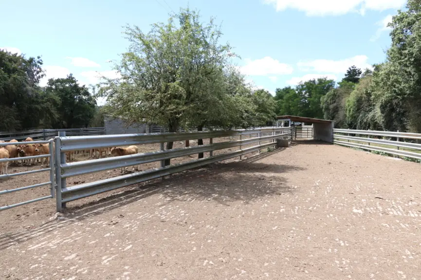 Le système de contention, aisément accessible depuis la plupart des parcelles, associe un grand parc de rassemblement, plusieurs petits parcs d’attent