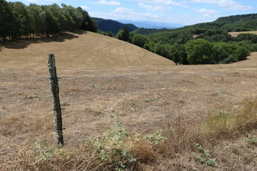 Les parcelles sont broyées une fois par an en cours d’été après que les vaches les aient bien raclées de façon à éviter toutes repousses de ronces, au