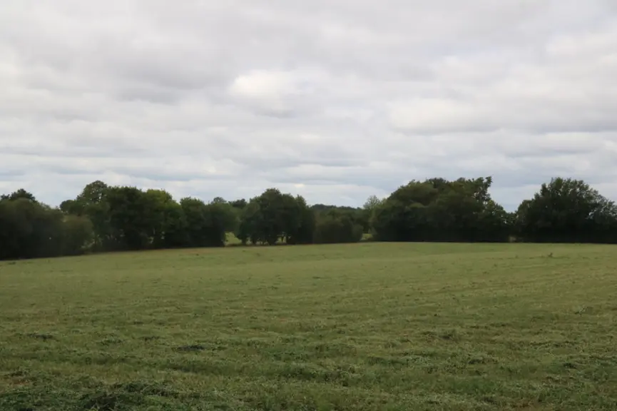 "Le label haie offre une parade aux mauvaises pratiques en rendant lisible notre démarche qualité. Pour la SCIC Mayenne bois énergie, 37 exploitation