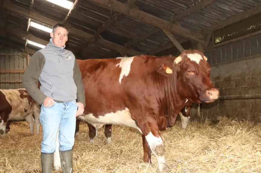 Thony Ferment recherche des vaches classées U = ou U+ avec un état d’engraissement de 3, pour les vendre dans le magasin de producteurs. « En moyenne,