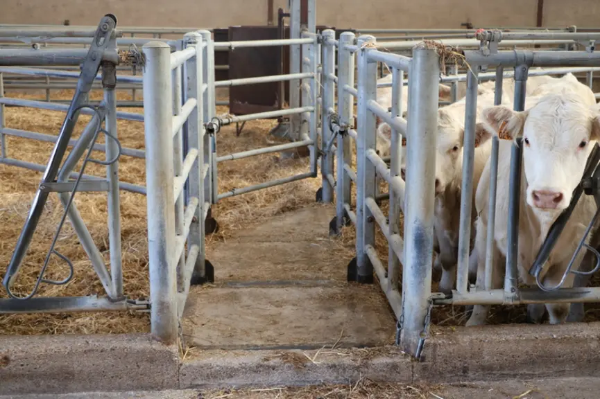La plateforme mobile sert de support aux cinq poteaux métalliques sur lesquels sont positionnées les barrières galvanisées formant le couloir d’accès