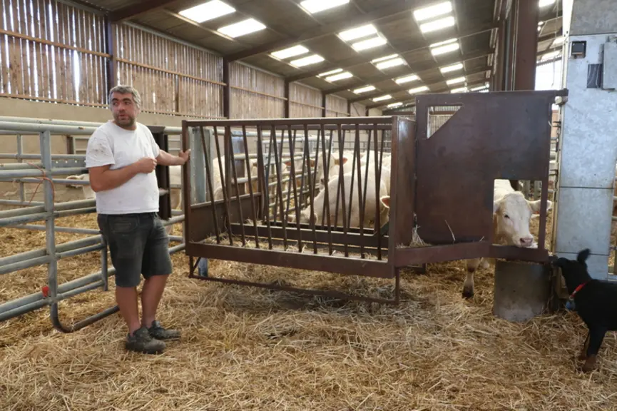 Après avoir pivoté de 180°, le râtelier serait ici prêt à être utilisé sur ses deux longs côtés par les deux lots de veaux et par deux vaches en cases