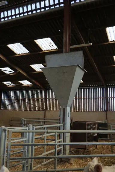 Les réservoirs ont une forme d’entonnoir. Plaqués en hauteur contre une poutrelle métallique, cela facilite la descente de l’aliment.   © F. d'Alteroc