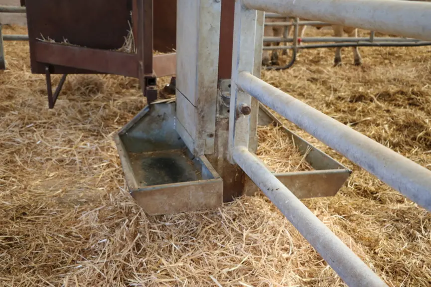 Un même réservoir permet de faire descendre l’aliment dans les auges de deux cases contiguës.  © F. d'Alteroche