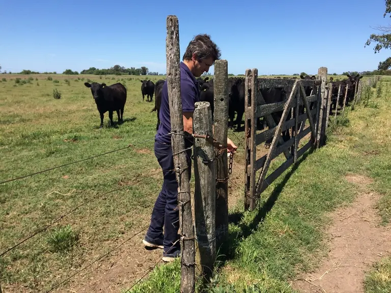 Même si celle-ci est en fin de carrière, les clôtures à fil lisse sont caractéristiques des élevages argentins et ont la particularité d’être souvent