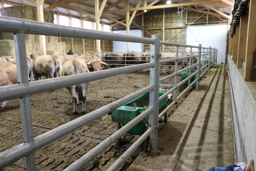 Les animaux s’abreuvent dans trois grands bacs à niveaux constants couplées à un circulateur pour éviter le gel et très faciles au besoin à nettoyer e