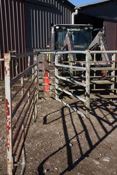 (2)	La cage permet de faire des soins aux veaux mais également aux mères (césarienne, matrice, etc.) grâce à une barrière intérieure de 1m70 de long,