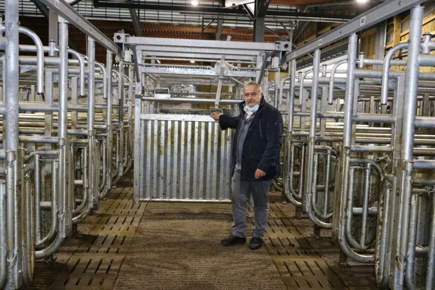 Dans les couloirs de circulation les installations permettent de pousser et faire circuler les animaux sans être directement à leur contact.  © F.d'Al