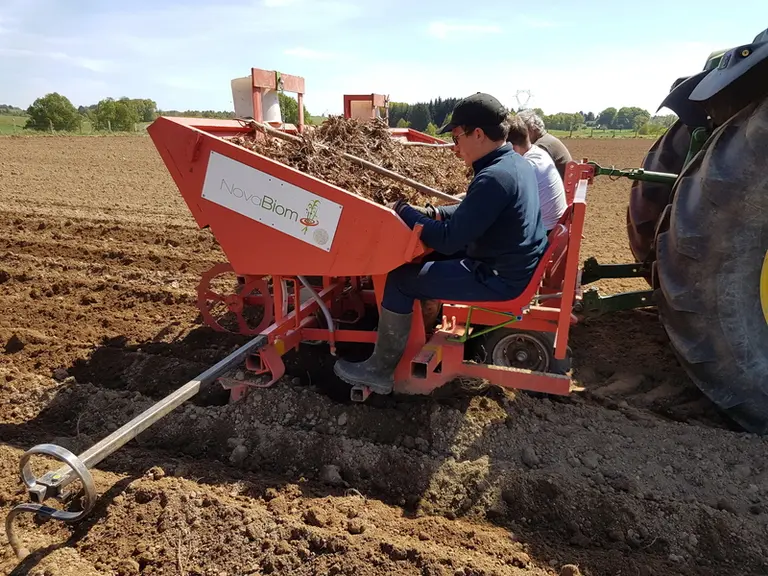Les rhizomes sont mis en place par quatre opérateurs positionnés sur la planteuse à raison pour un hectare de deux heures de travail pour six personne