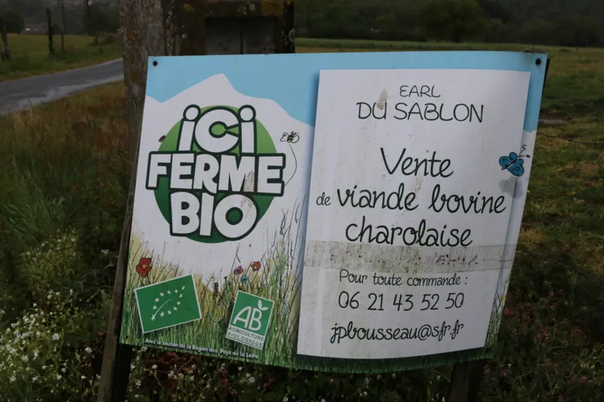 © F. d'Alteroche