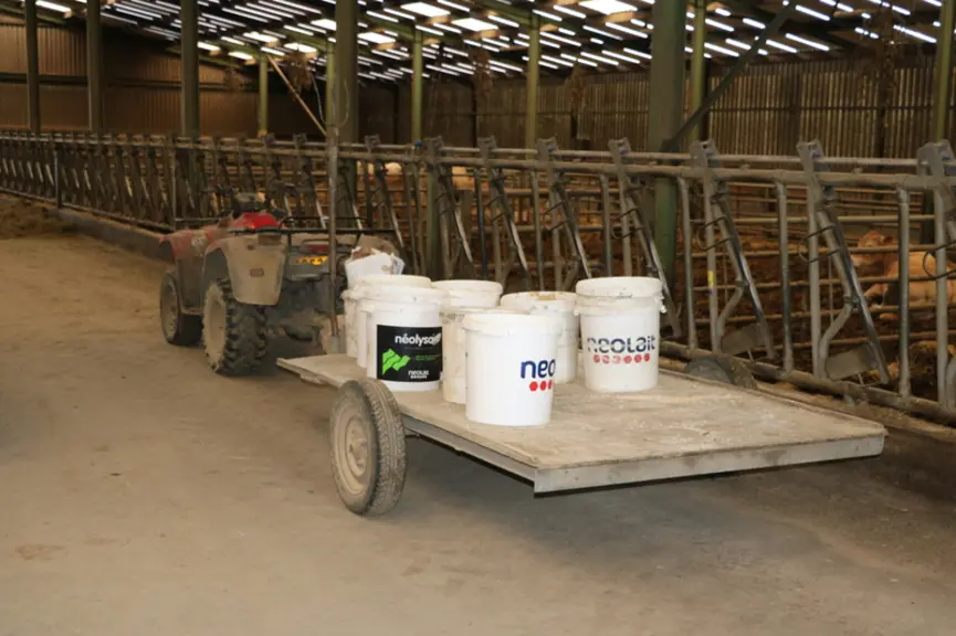 © F. d'Alteroche