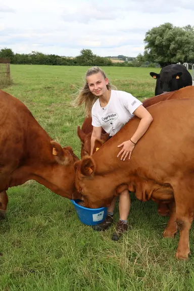 Emilie Wecker, stagiaire sur l’élevage a réalisé son mémoire sur le petit lot de Redyblack conduites parallèlement aux Salers pour lesquelles parvenir