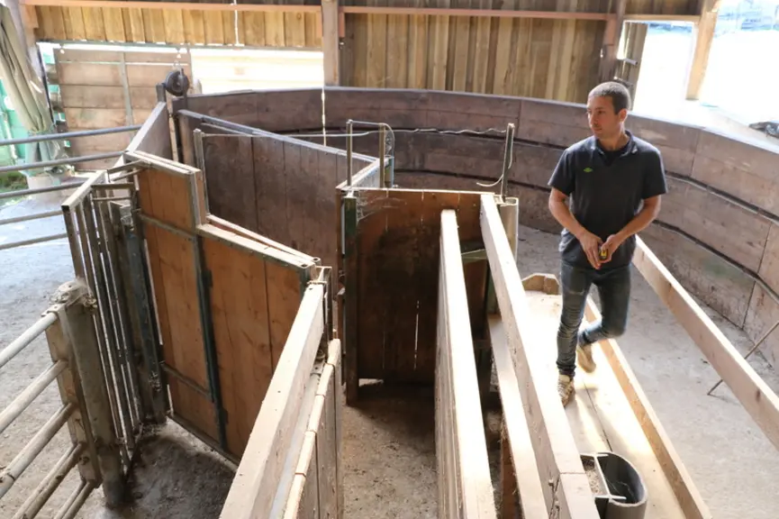 Le parc d’attente est un demi-cercle à barrière poussante sécurisée permettant au choix d’orienter les animaux vers un parc, vers le quai de chargemen
