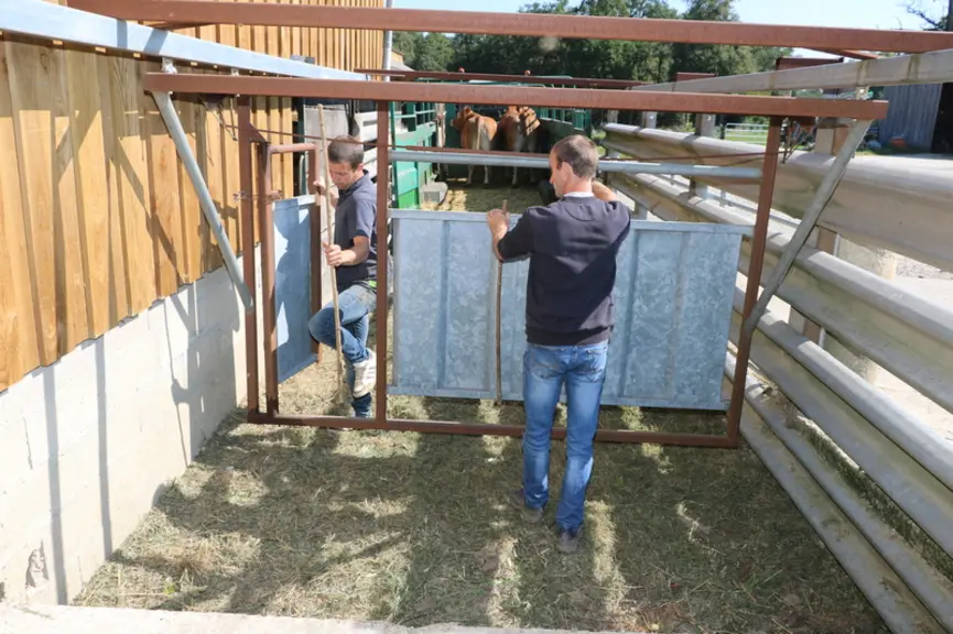 Quai 3 Les animaux sont poussés à l’arrière d’une barrière suspendue de chaque côté sur deux rails. Elle sécurise cette opération et même les animaux