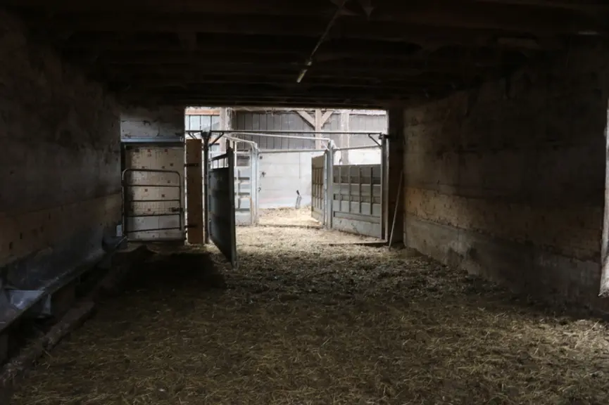 Les animaux peuvent entrer à deux endroits dans le demi-cercle, soit depuis la case des veaux, soit depuis les cases destinées à l’engraissement des f