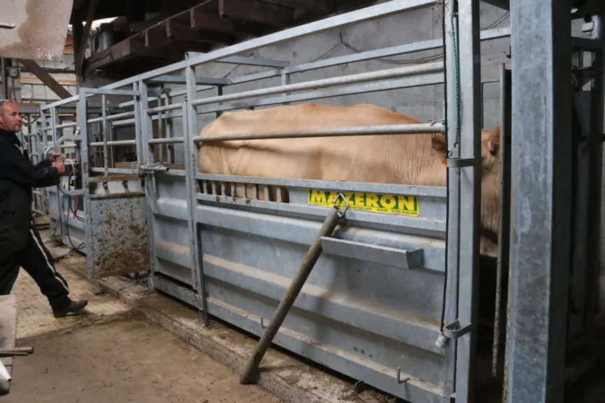 L’éleveur a privilégié une porte antirecul à translation, tôlée en partie basse pour une fermeture très rapide aux extrémités du plateau de pesées.