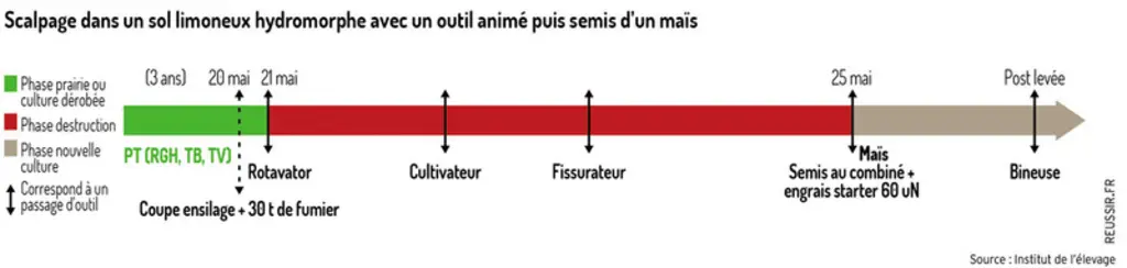 « Une prairie temporaire détruite sans labour ni chimie »