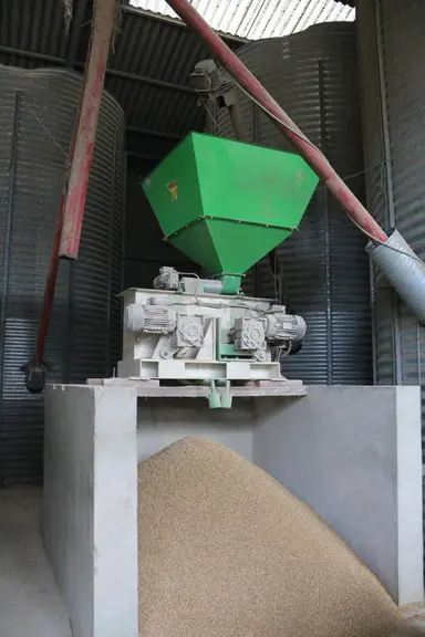 [Sabots d'or] Des blondes d’Aquitaine pour « produire de la viande »