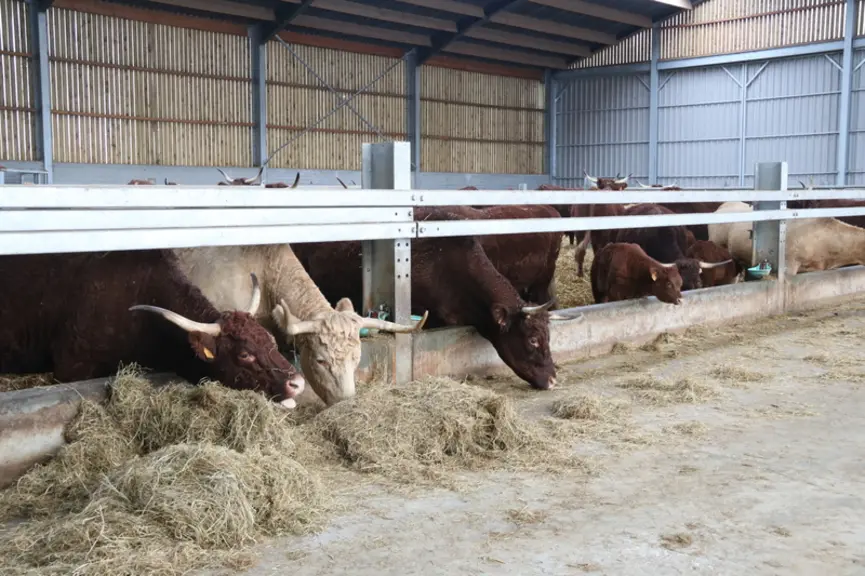 L’abreuvement des animaux représente un point essentiel pour Antoine Delobel. Il a donc choisi d’installer deux bols à palette par case de sept vaches