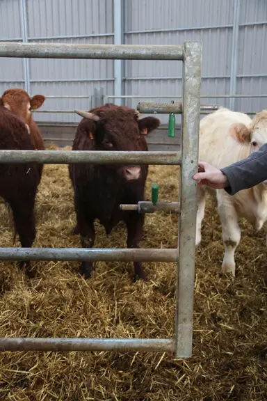 Entre chaque case, des barrières autolock ont été préférées pour sécuriser les interventions.