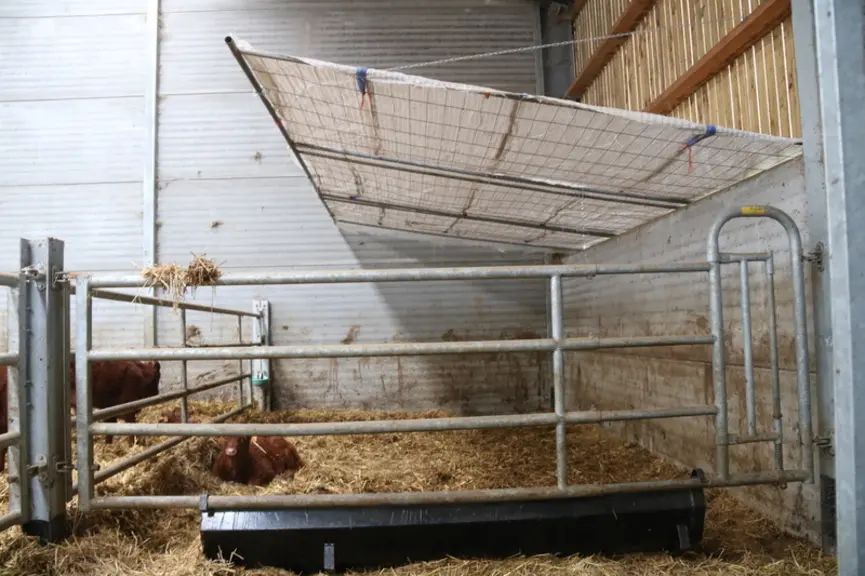 L’outil Boviwell attribue une note de bien-être animal pour le bovins