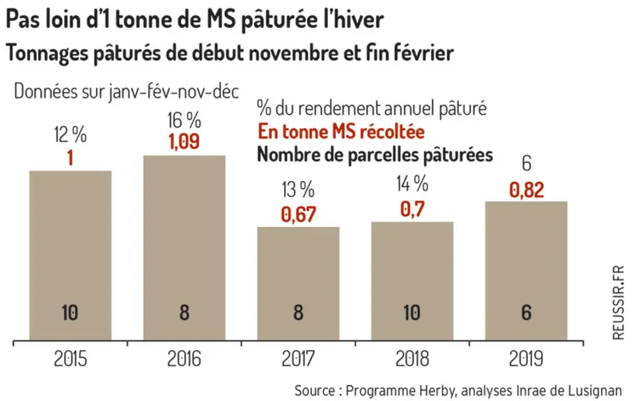 Le pâturage hivernal est une pratique d’avenir