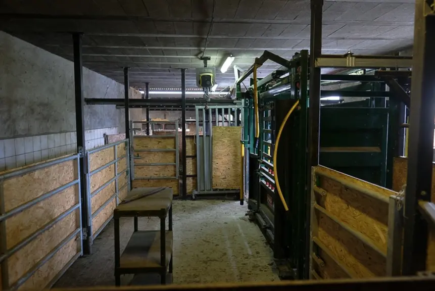 Avec ses dimensions, 11 mètres par 5, l’ancienne salle de traite offre aujourd’hui un espace de travail confortable pour intervenir sur les animaux o