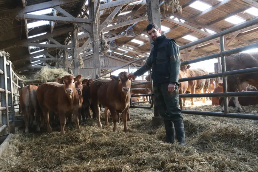 François Fouqueron. « Mon objectif est désormais de ne plus complémenter le troupeau l’été, en valorisant des surfaces délaissées jusque-là, pour rédu