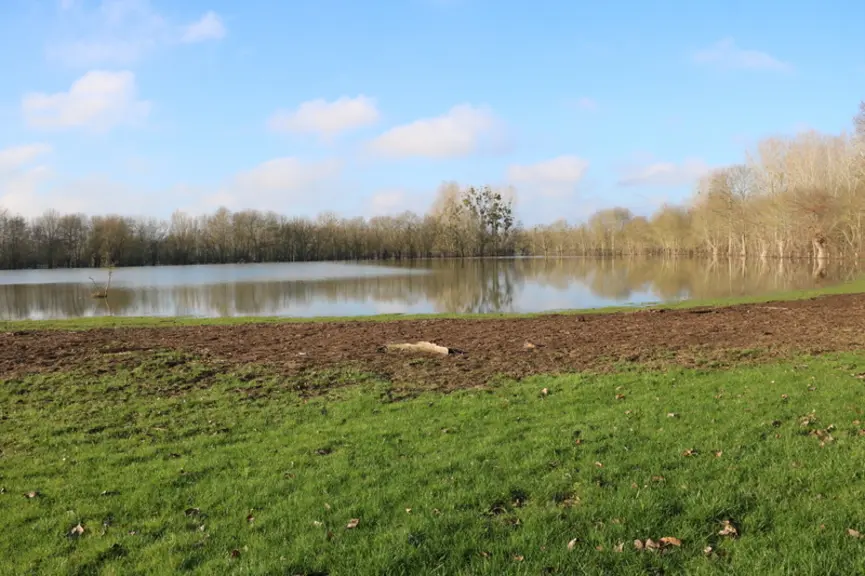 Sur les 85 hectares d’herbe de l’exploitation, 60 se situent en zone inondable Natura 2000. L’hiver, les prés passent entre 1 et 4 mois sous l’eau.