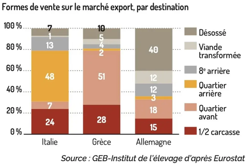 Jeunes bovins : les arrières pour l’Italie, les avants pour la Grèce et du désossé pour l’Allemagne