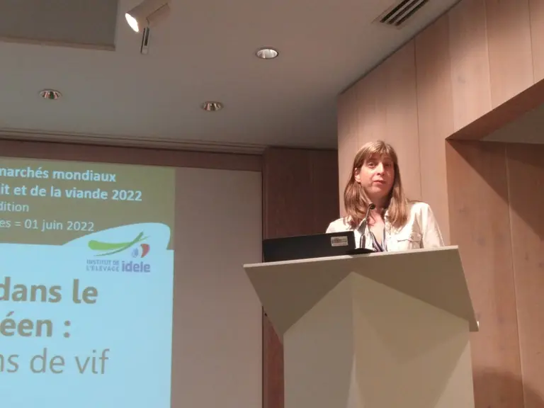 Ilona Blanquet de l'Institut de l'élevage. " L'Union européenne conserve une part de marché stable sur le marché du pourtour méditerranéen des bovins vivants, avec 51 % en 2021."