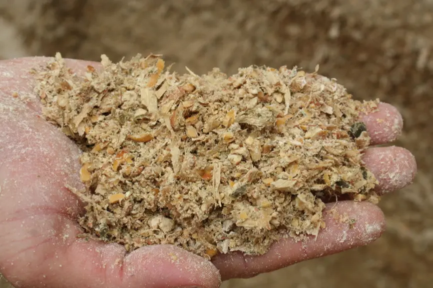 Le bon éclatement des grains favorise la digestion et l'objectif doit être de fractionner les grains en au moins quatre morceaux.