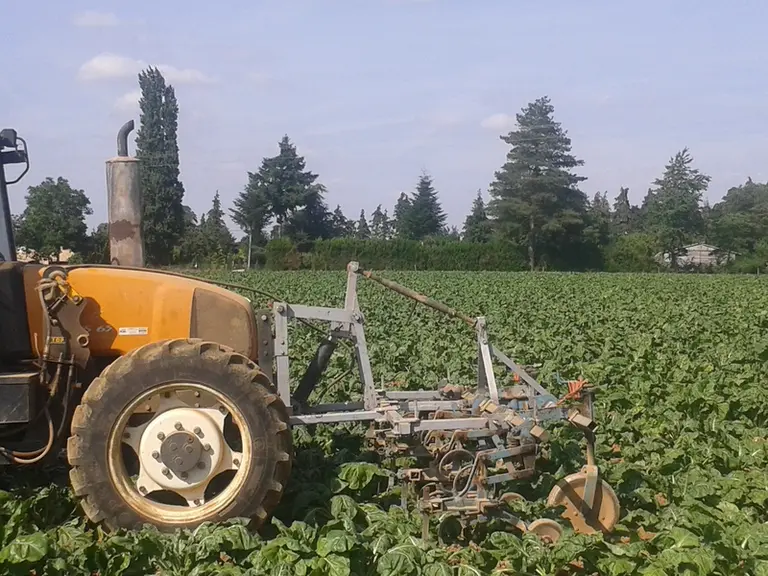 La bineuse faite maison se positionne devant le tracteur.