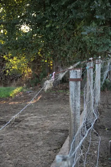 Des auges en bord de parcelles pour faciliter le travail