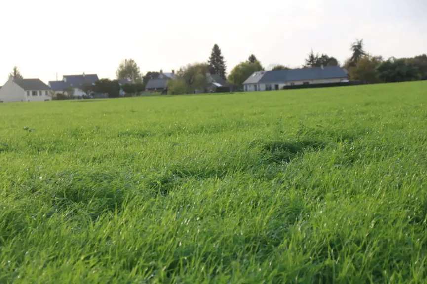 « Cette année, j’aimerais mettre en place le bale grazing (technique qui consiste à complémenter l’herbe pâturée en période hivernale avec du foin ou