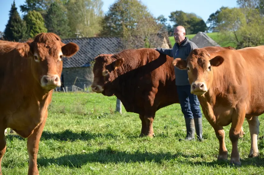 Les animaux viennent vers l’homme sans besoin de gourmandise et ce dernier circule en toute sécurité parmi eux. De plus, il intervient facilement en c