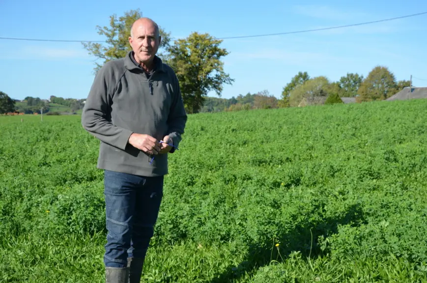 Luzerne et féveroles reviennent en force dans les prairies. Pour les haies, des essences diversifiées sont employées : érable, charme, saule blanc, no