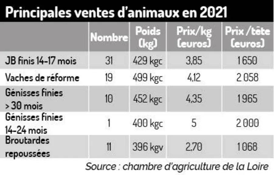 « Je valorise la génétique de mon troupeau charolais en finissant des animaux lourds »
