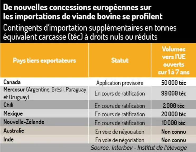 Le retour en force des accords de libre-échange met sous pression la filière bovin viande