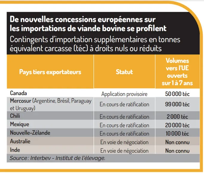 Le retour en force des accords de libre-échange met sous pression la filière bovin viande